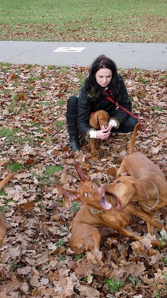 05_Stromovka_081117.JPG