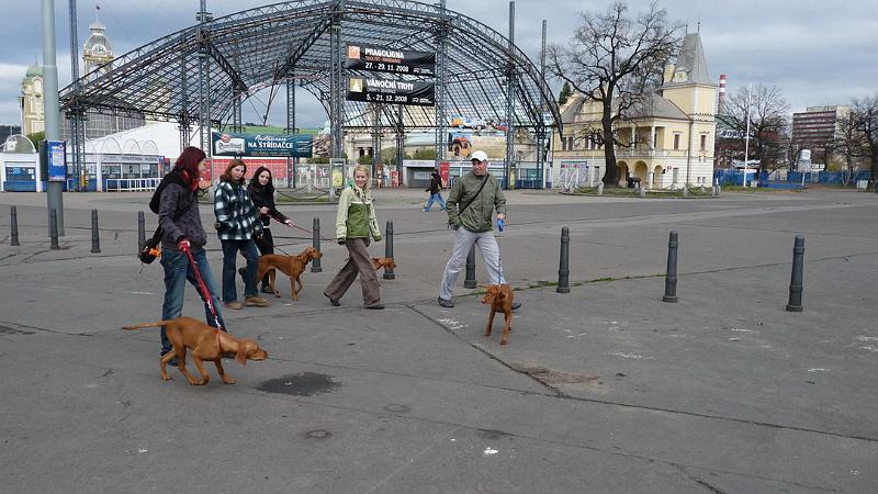 09_Stromovka_081117.JPG