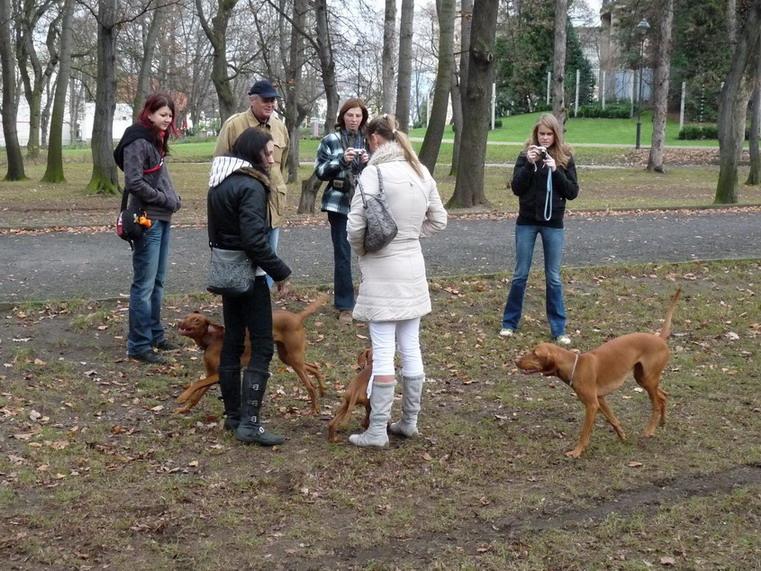 13_Stromovka_081117.JPG