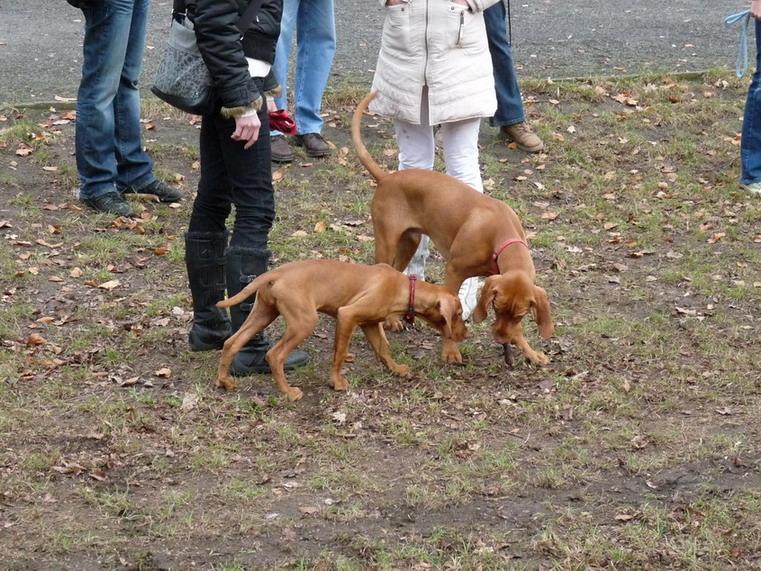 15_Stromovka_081117.JPG