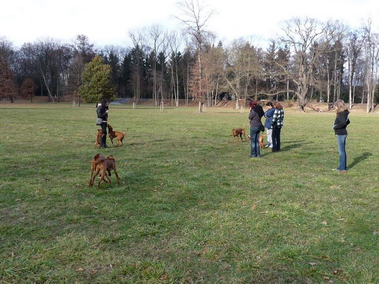 17_Stromovka_081117.JPG