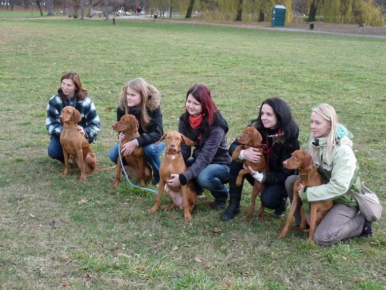 20_Stromovka_081117.JPG - Zleva: Anett z Tišnovských revírů, Afra ze Zámeckých blat, Charlie (I z Panských lesů), Cindy k Lesíkům, Amélie ze Zámeckých blat