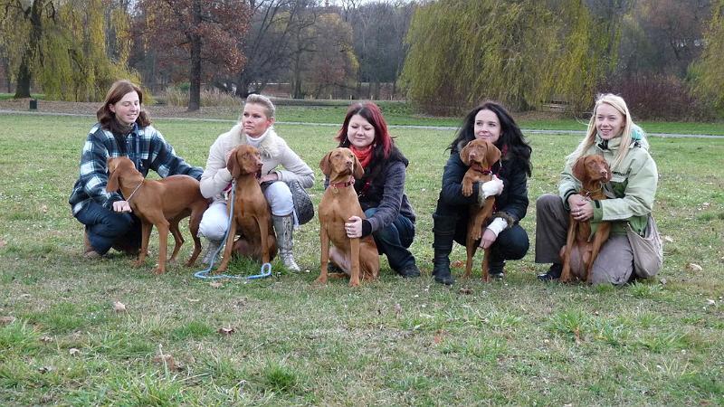 21_Stromovka_081117.JPG - Zleva: Anett z Tišnovských revírů, Afra ze Zámeckých blat, Charlie (I z Panských lesů), Cindy k Lesíkům, Amélie ze Zámeckých blat