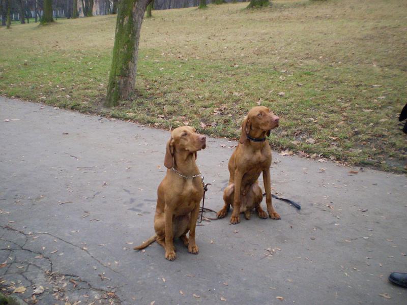 PB290824.JPG - Anett & Argo