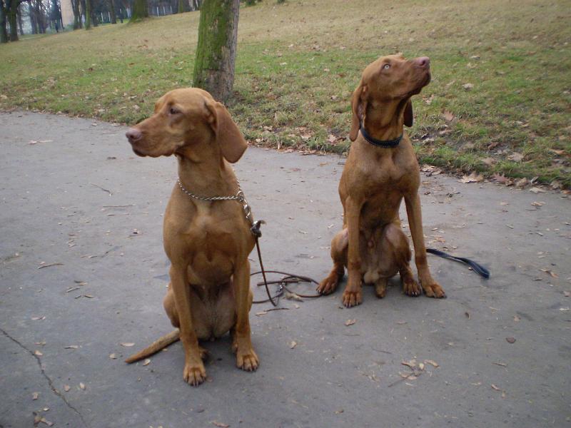 PB290827.JPG - Anett & Argo