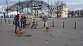 09_Stromovka_081117