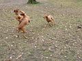 12_Stromovka_081117