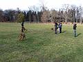17_Stromovka_081117