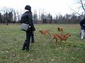 18_Stromovka_081117
