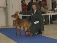 MVP Trenn 2008 - CAC,CACIB