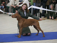 MVP Trenn 08 - CAC,Res.CACIB