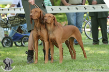 Dan&Anett - Nejlep pr Klubov vstavy 08