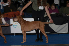 zima 2012